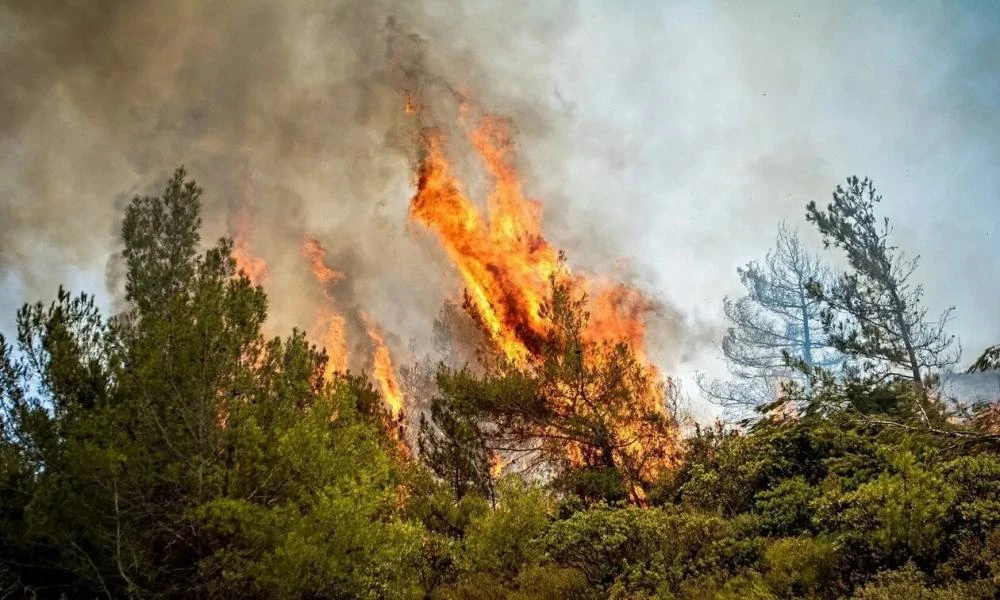 Έσβησε η φωτιά στα Φάρσαλα- Σε επιφυλακή για αναζωπυρώσεις η Πυροσβεστική